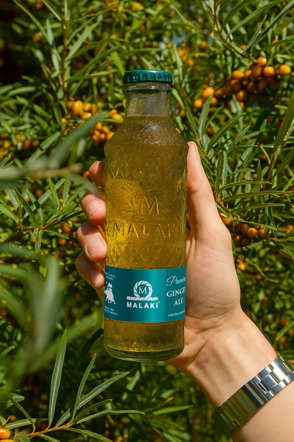 Malaki Ginger Ale 250ml | Pack of 12