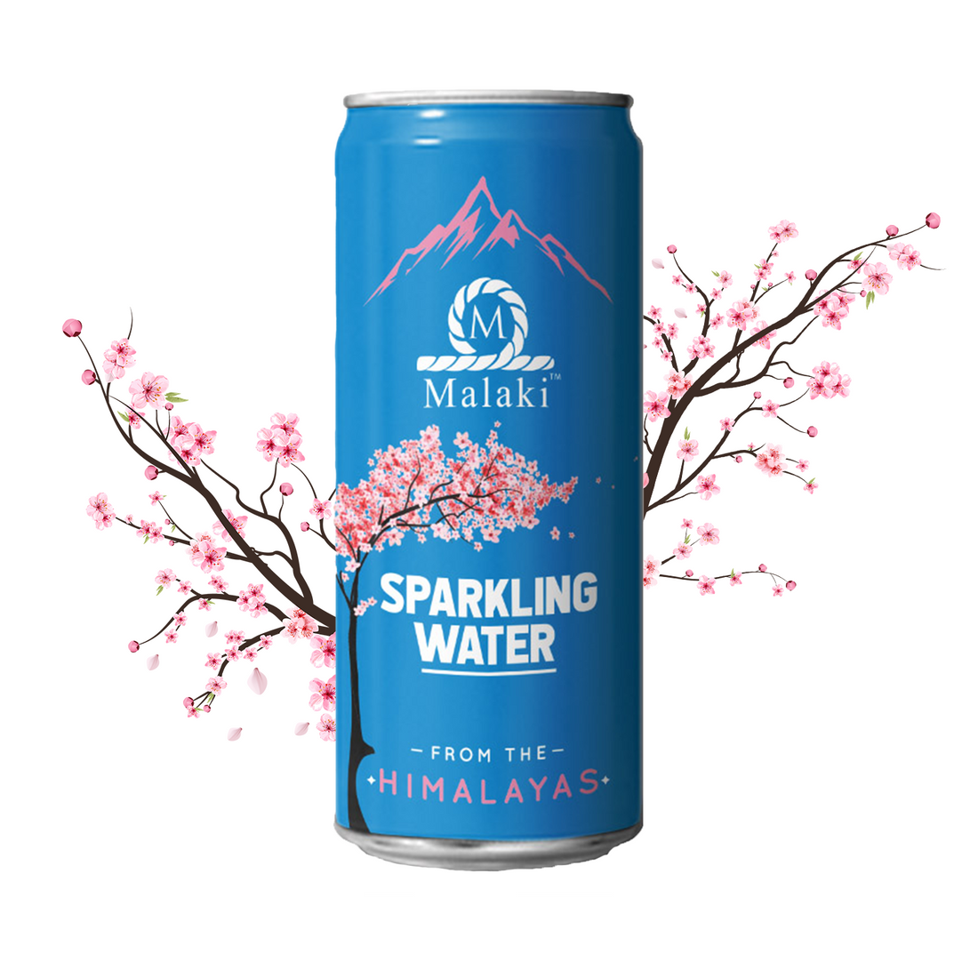 Sparkling Water 250ml Pack of 12 Malaki India